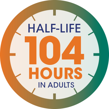 HALF-LIFE 104 HOURS in adults