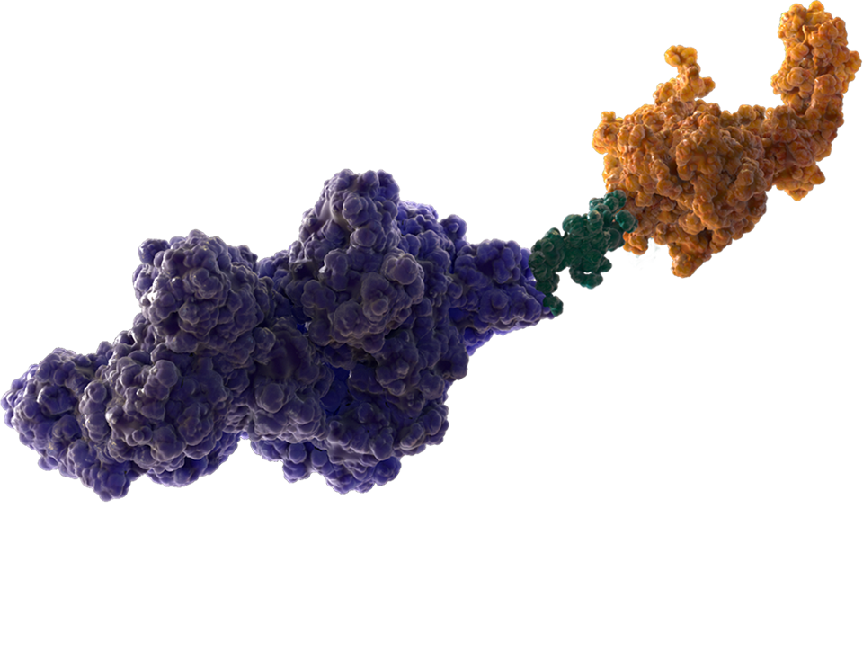 MOA molecule